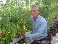 Гербициды помогут одолеть сорняки