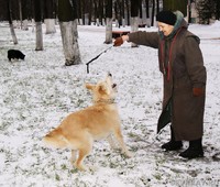 Где с собачкой погулять?