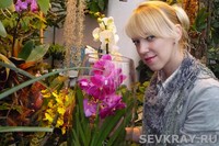 Зацвели в феврале орхидеи в саду