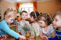 «Огород на окне» в детском саду «ЯНОС»