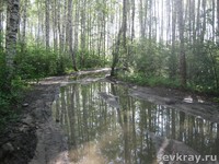 Не говорить о чистоте, а провести уборку