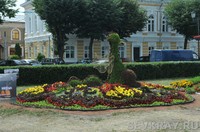 «Цветы мира» в Ярославле