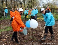 «Ростелеком» посадил вишнёвый сад