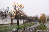 «Солнечное дерево» на фоне пасмурного неба