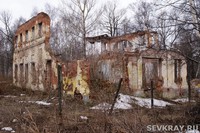 И всё-таки голландцы восстановят Петропавловский