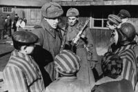 70 лет назад советские солдаты освободили узников Освенцима