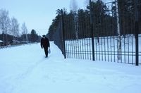 В Яковлевский бор через забор