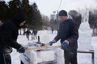 Ледяные сказки зимнего сада