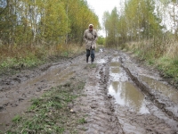 Лес, заказанный природой