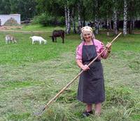 Беспокойное хозяйство